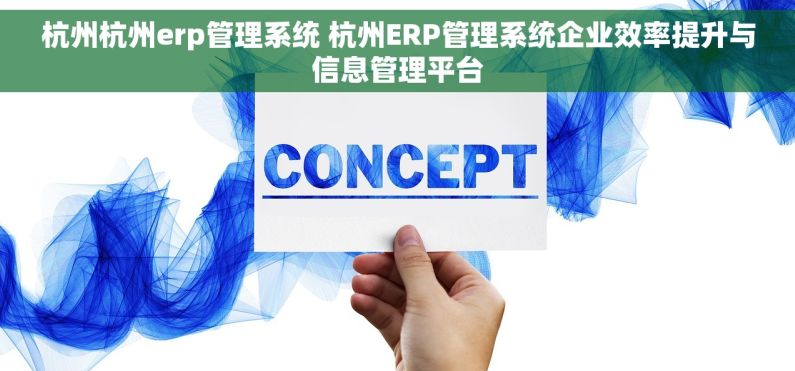 杭州杭州erp管理系统 杭州ERP管理系统企业效率提升与信息管理平台