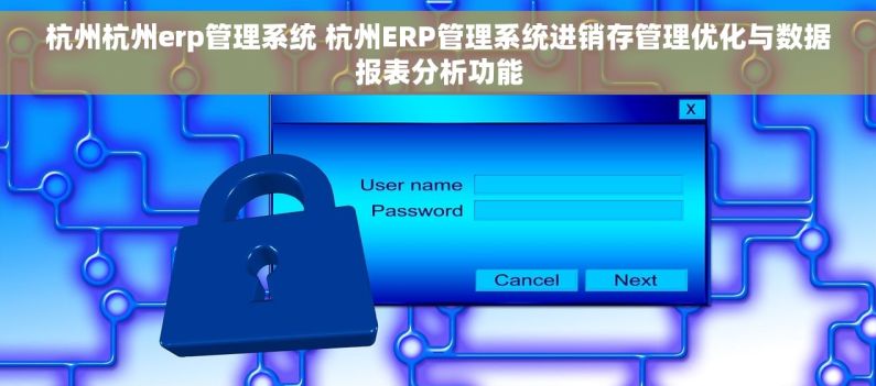 杭州杭州erp管理系统 杭州ERP管理系统进销存管理优化与数据报表分析功能