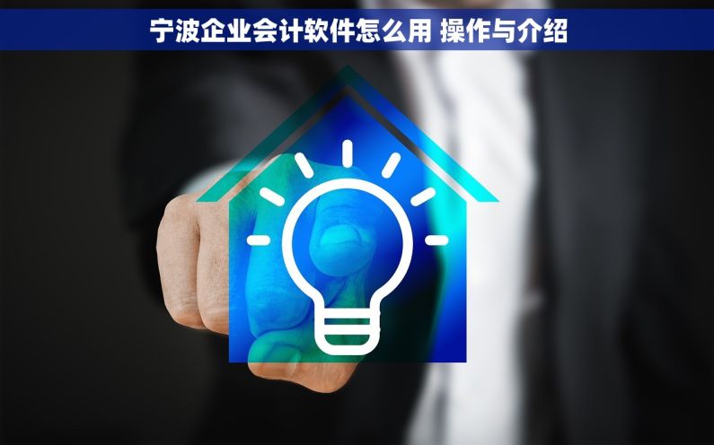 宁波企业会计软件怎么用 操作与介绍