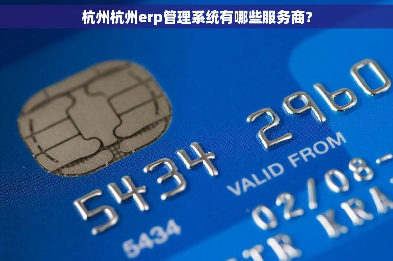 杭州杭州erp管理系统有哪些服务商？