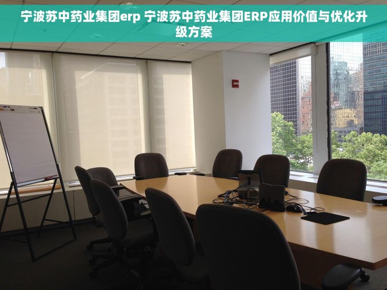宁波苏中药业集团erp 宁波苏中药业集团ERP应用价值与优化升级方案