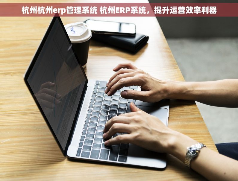 杭州杭州erp管理系统 杭州ERP系统，提升运营效率利器