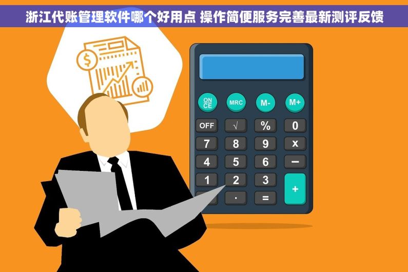 浙江代账管理软件哪个好用点 操作简便服务完善最新测评反馈