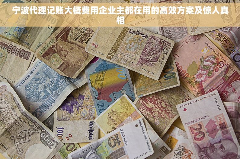 宁波代理记账大概费用企业主都在用的高效方案及惊人真相