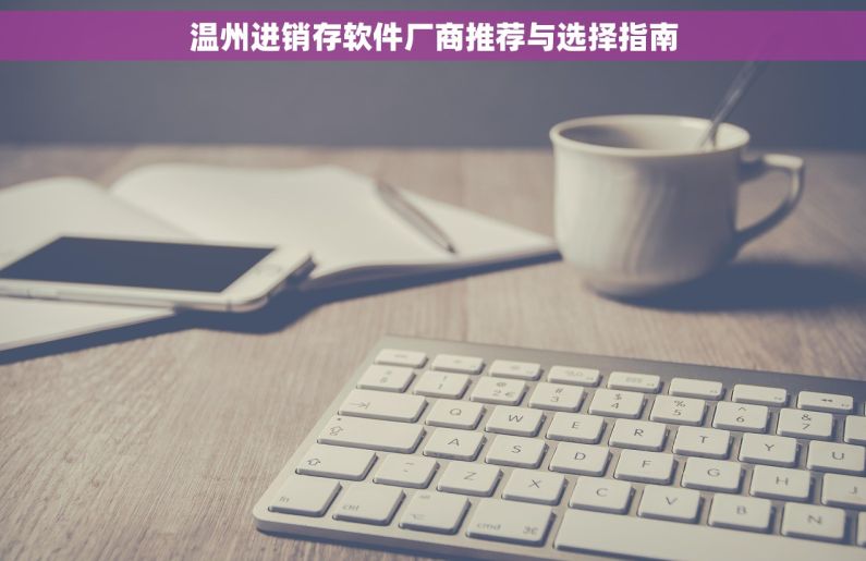 温州进销存软件厂商推荐与选择指南