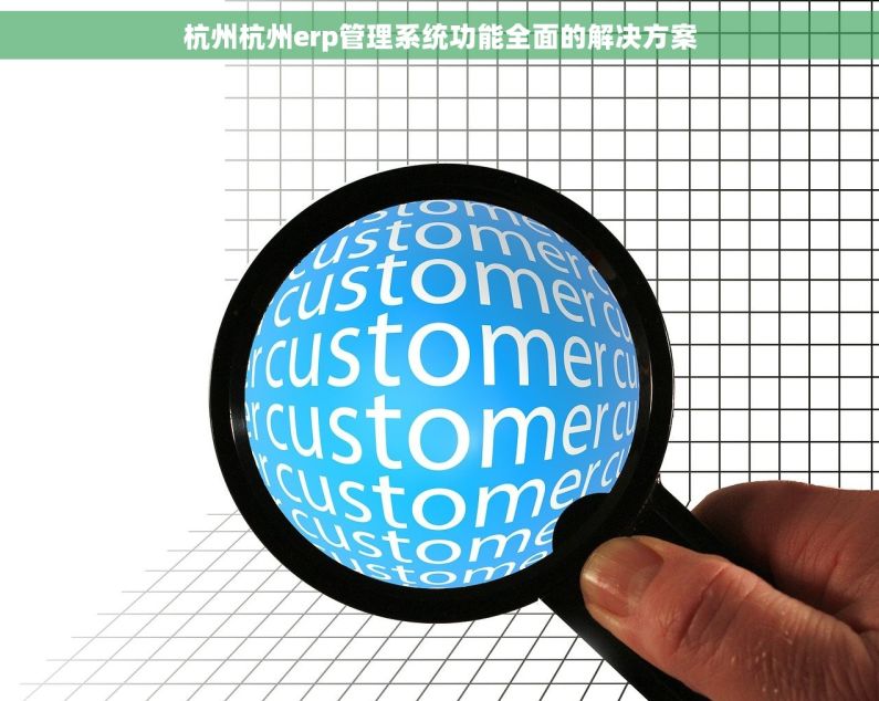杭州杭州erp管理系统功能全面的解决方案