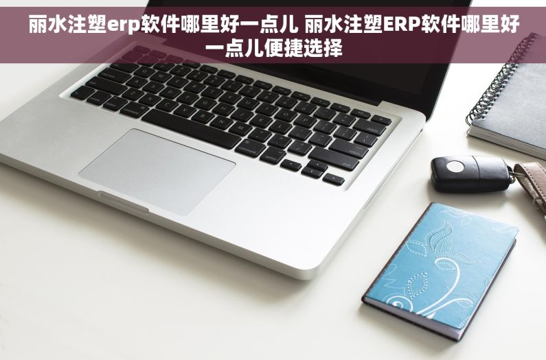 丽水注塑erp软件哪里好一点儿 丽水注塑ERP软件哪里好一点儿便捷选择