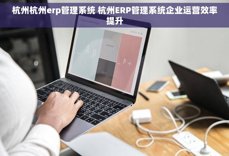 杭州杭州erp管理系统 杭州ERP管理系统企业运营效率提升