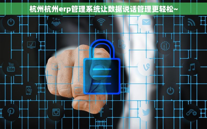 杭州杭州erp管理系统让数据说话管理更轻松~