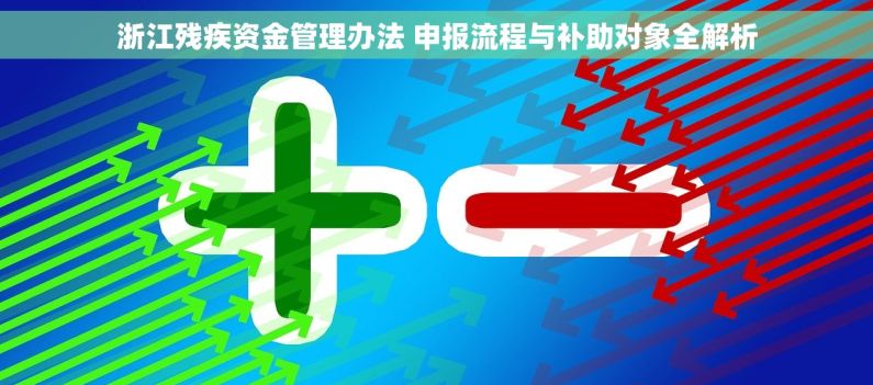 浙江残疾资金管理办法 申报流程与补助对象全解析
