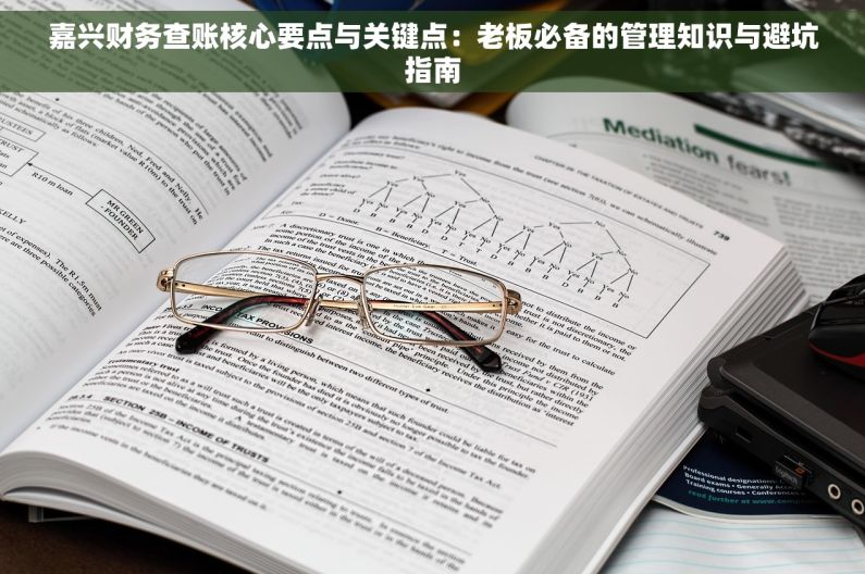嘉兴财务查账核心要点与关键点：老板必备的管理知识与避坑指南