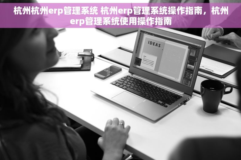 杭州杭州erp管理系统 杭州erp管理系统操作指南，杭州erp管理系统使用操作指南