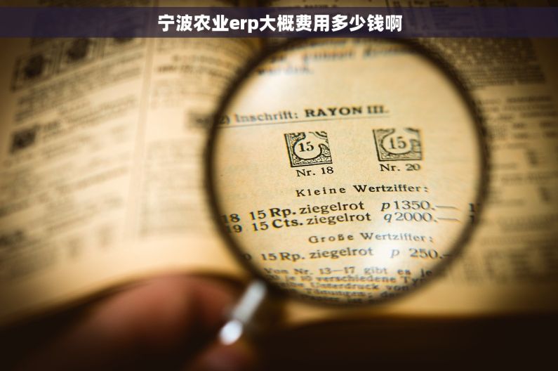 宁波农业erp大概费用多少钱啊