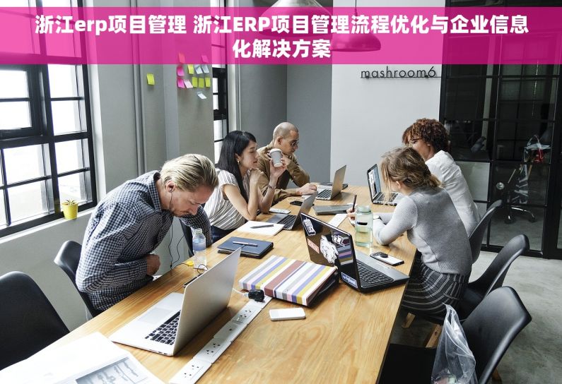 浙江erp项目管理 浙江ERP项目管理流程优化与企业信息化解决方案