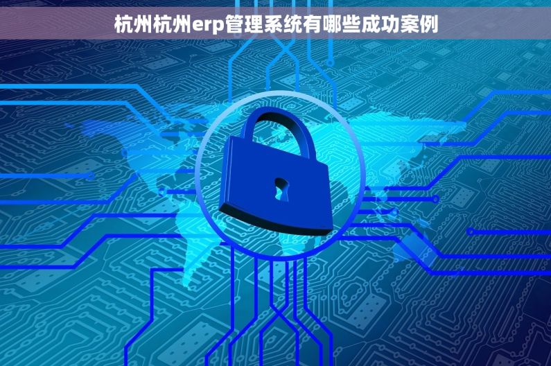 杭州杭州erp管理系统有哪些成功案例