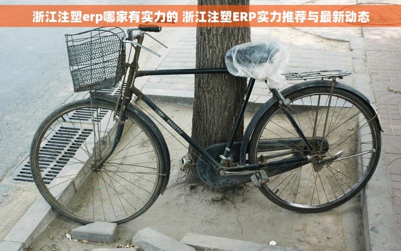 浙江注塑erp哪家有实力的 浙江注塑ERP实力推荐与最新动态