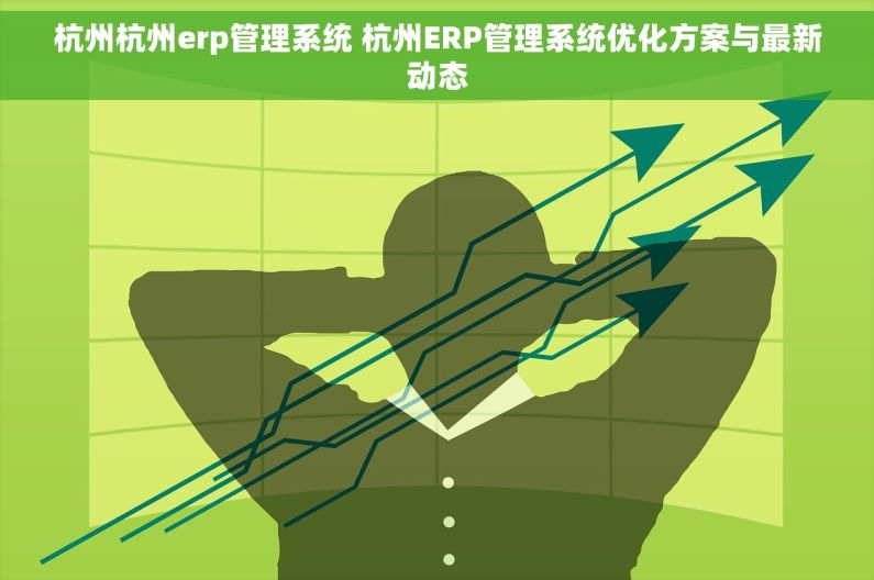 杭州杭州erp管理系统 杭州ERP管理系统优化方案与最新动态