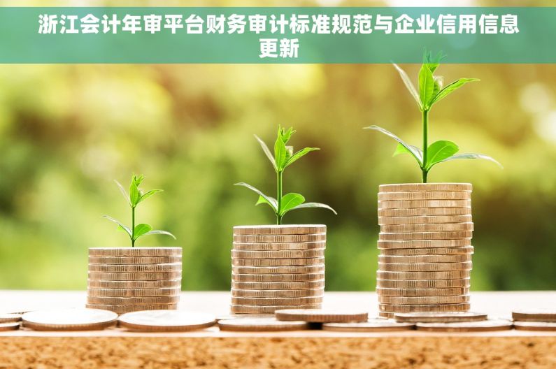 浙江会计年审平台财务审计标准规范与企业信用信息更新