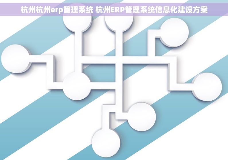杭州杭州erp管理系统 杭州ERP管理系统信息化建设方案