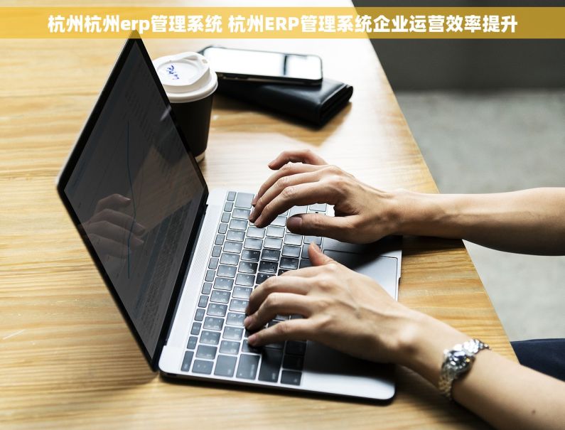 杭州杭州erp管理系统 杭州ERP管理系统企业运营效率提升