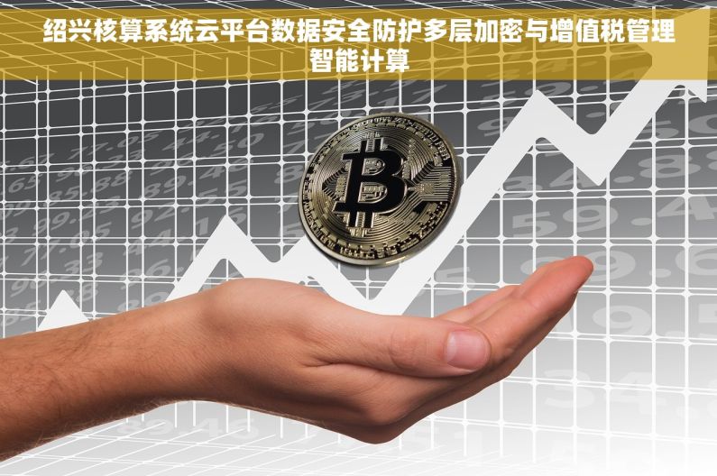 绍兴核算系统云平台数据安全防护多层加密与增值税管理智能计算