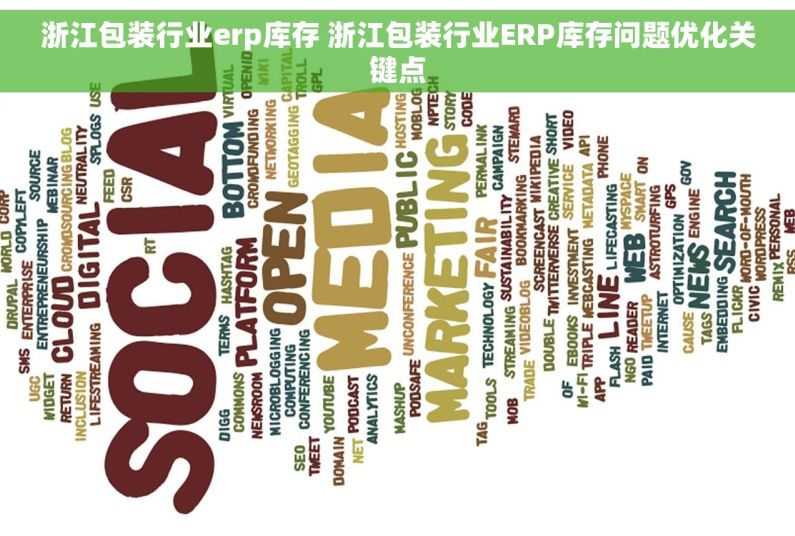 浙江包装行业erp库存 浙江包装行业ERP库存问题优化关键点