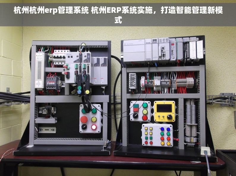 杭州杭州erp管理系统 杭州ERP系统实施，打造智能管理新模式