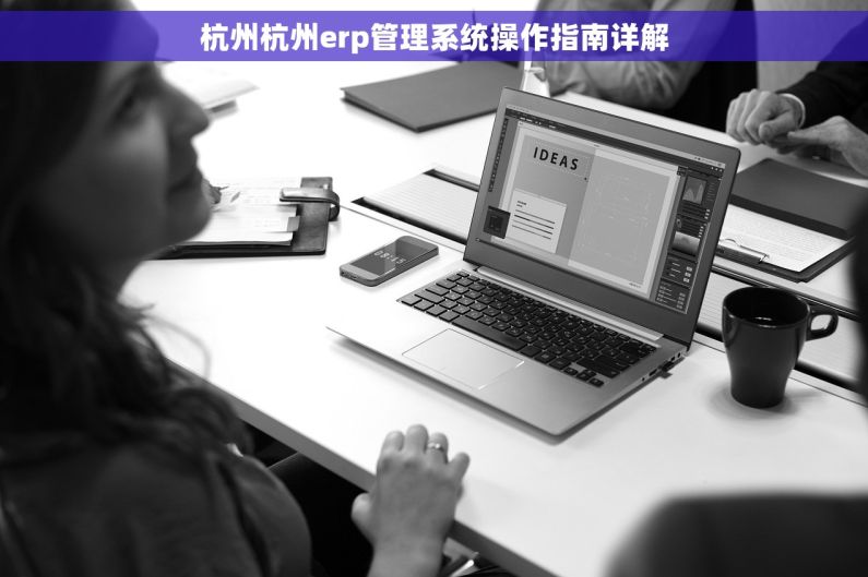 杭州杭州erp管理系统操作指南详解