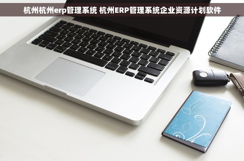 杭州杭州erp管理系统 杭州ERP管理系统企业资源计划软件