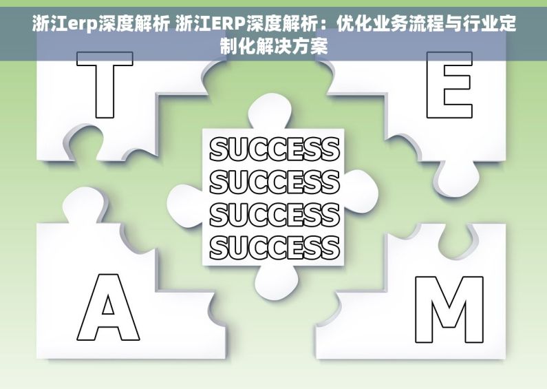 浙江erp深度解析 浙江ERP深度解析：优化业务流程与行业定制化解决方案