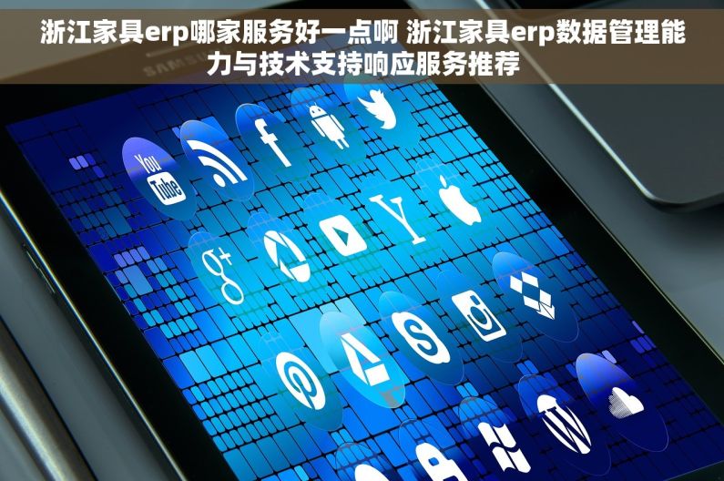 浙江家具erp哪家服务好一点啊 浙江家具erp数据管理能力与技术支持响应服务推荐