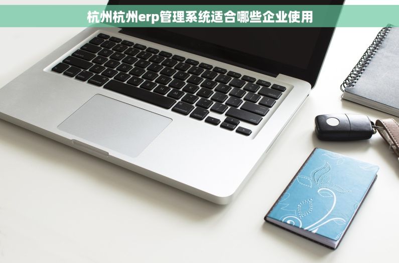 杭州杭州erp管理系统适合哪些企业使用
