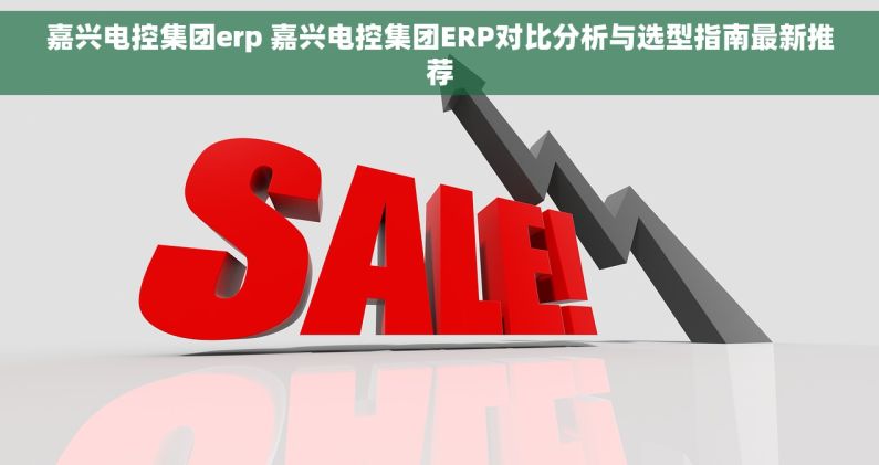 嘉兴电控集团erp 嘉兴电控集团ERP对比分析与选型指南最新推荐