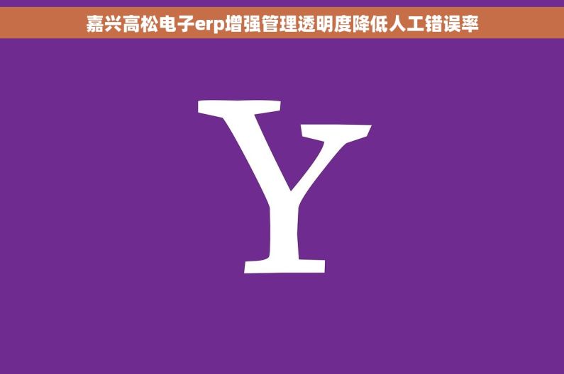 嘉兴高松电子erp增强管理透明度降低人工错误率