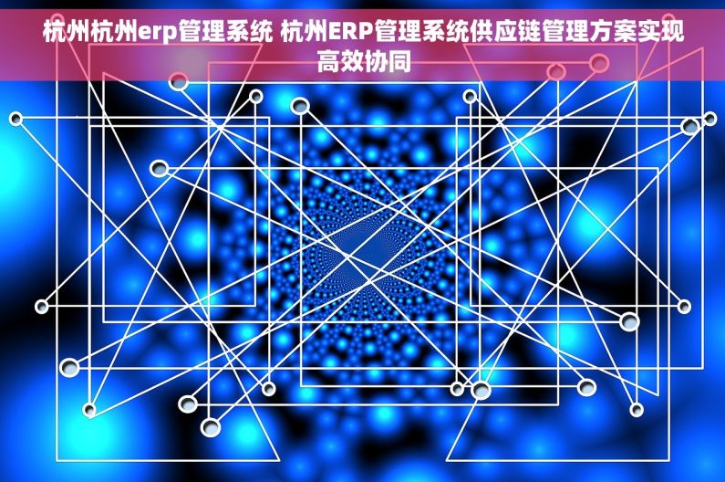 杭州杭州erp管理系统 杭州ERP管理系统供应链管理方案实现高效协同