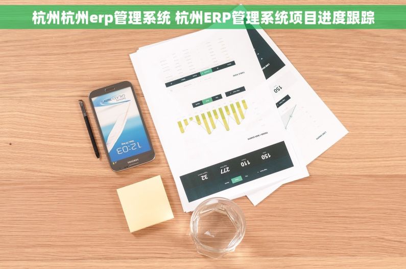 杭州杭州erp管理系统 杭州ERP管理系统项目进度跟踪