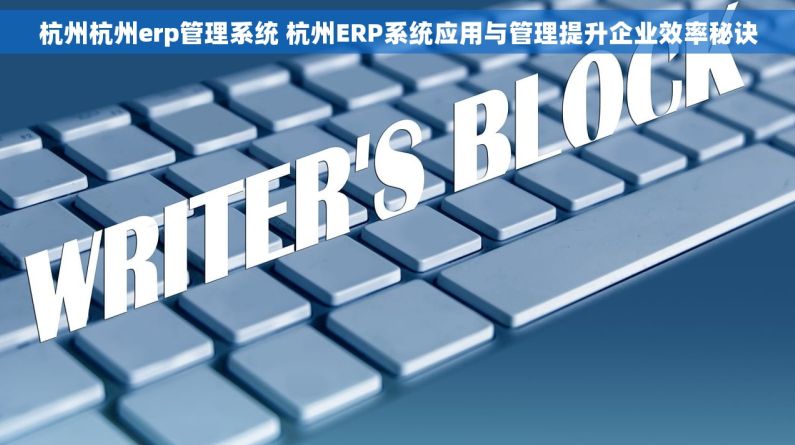 杭州杭州erp管理系统 杭州ERP系统应用与管理提升企业效率秘诀