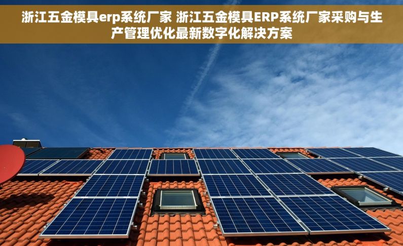 浙江五金模具erp系统厂家 浙江五金模具ERP系统厂家采购与生产管理优化最新数字化解决方案