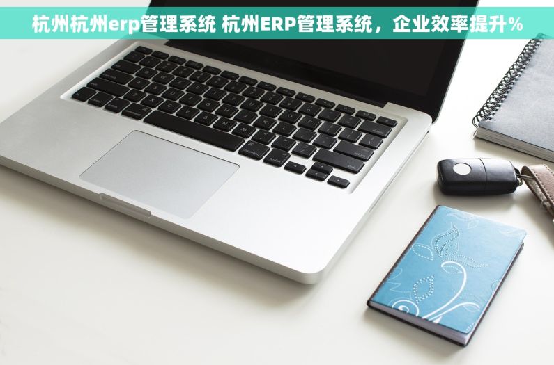 杭州杭州erp管理系统 杭州ERP管理系统，企业效率提升%