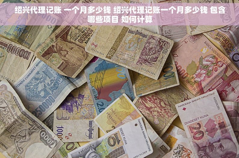 绍兴代理记账 一个月多少钱 绍兴代理记账一个月多少钱 包含哪些项目 如何计算