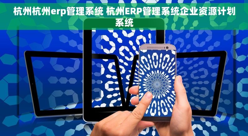 杭州杭州erp管理系统 杭州ERP管理系统企业资源计划系统