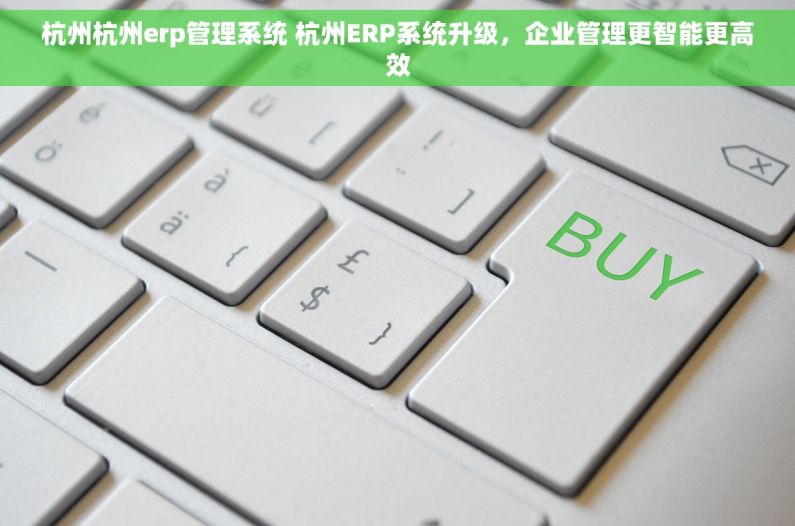 杭州杭州erp管理系统 杭州ERP系统升级，企业管理更智能更高效