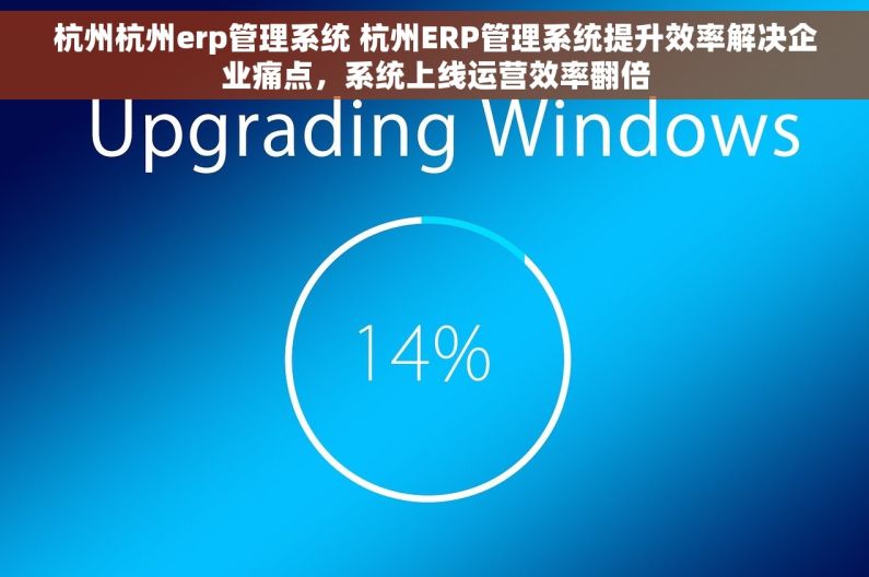 杭州杭州erp管理系统 杭州ERP管理系统提升效率解决企业痛点，系统上线运营效率翻倍