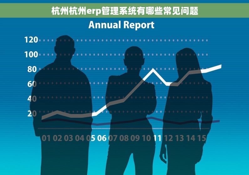 杭州杭州erp管理系统有哪些常见问题