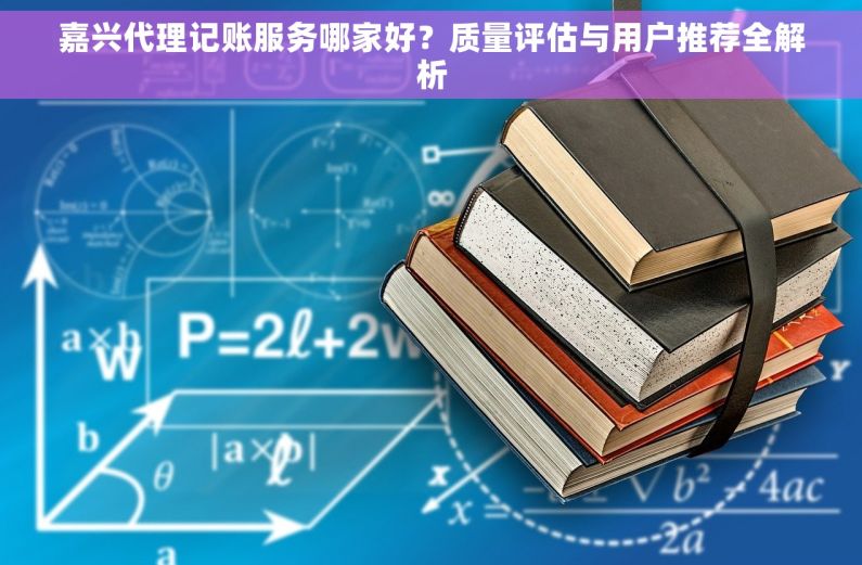 嘉兴代理记账服务哪家好？质量评估与用户推荐全解析
