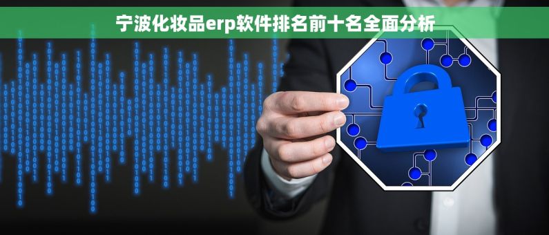 宁波化妆品erp软件排名前十名全面分析