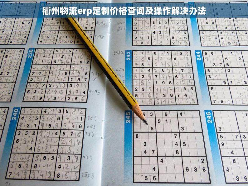 衢州物流erp定制价格查询及操作解决办法