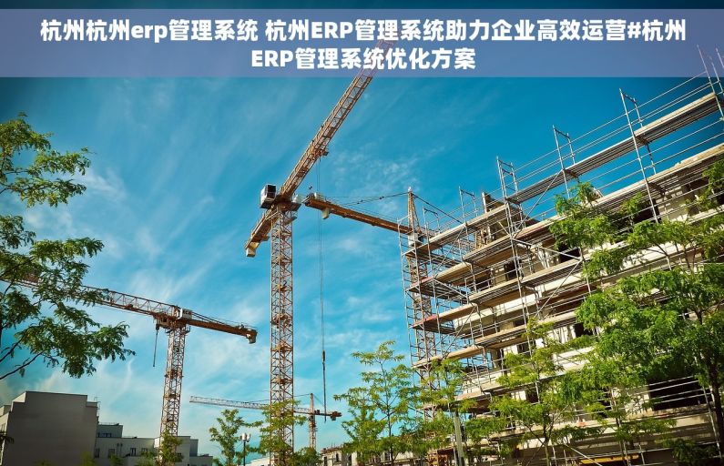杭州杭州erp管理系统 杭州ERP管理系统助力企业高效运营#杭州ERP管理系统优化方案
