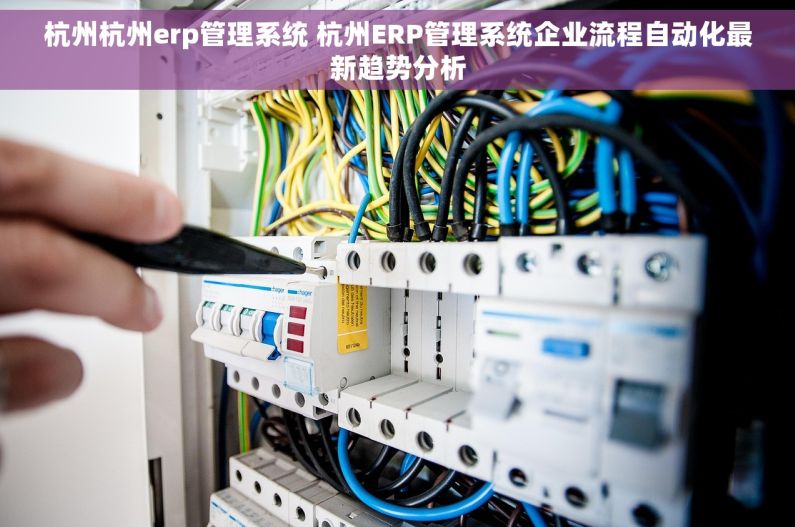 杭州杭州erp管理系统 杭州ERP管理系统企业流程自动化最新趋势分析