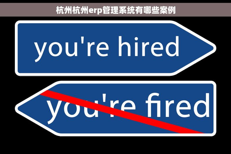 杭州杭州erp管理系统有哪些案例